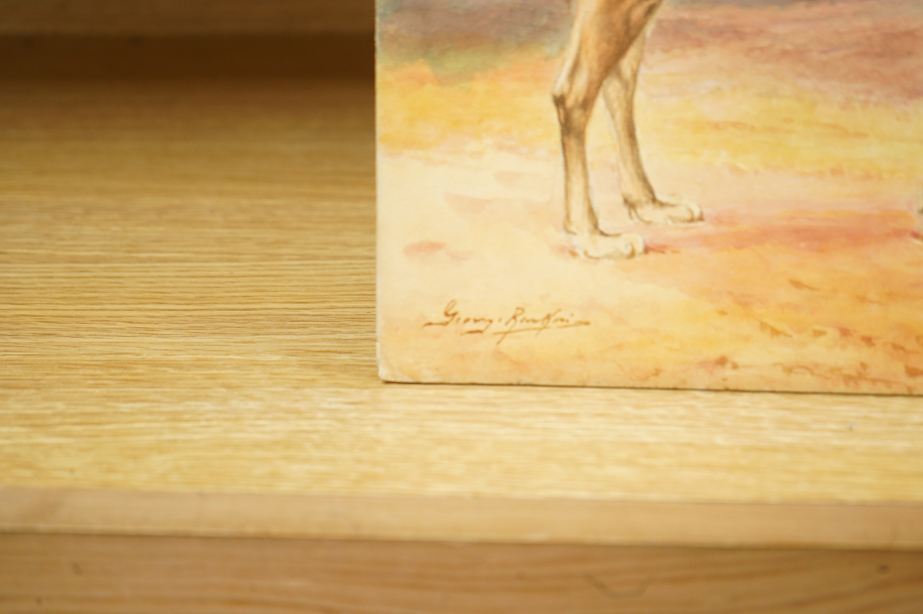 George James Rankin (1864-1937), a set of four original watercolours for postcard designs, Wildlife comprising camels, zebras, elephants and giraffes, each signed, unframed, largest 27 x 37cm